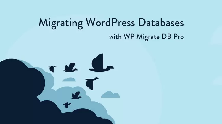 WP Migrate DB Pro v2.6.12
