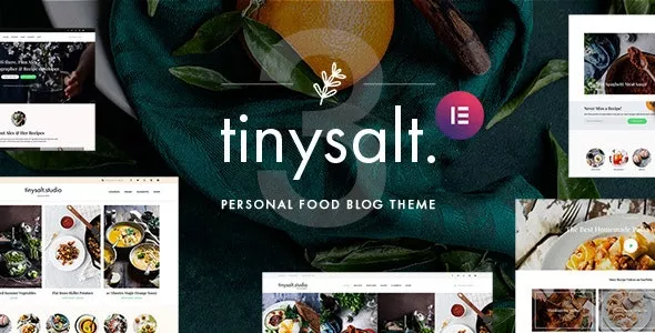 TinySalt v3.2.0 - Personal Food Blog WordPress Theme