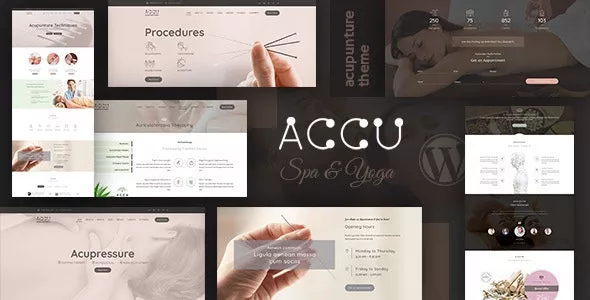 Accu v3.1 - Healthcare, Massage WordPress Theme