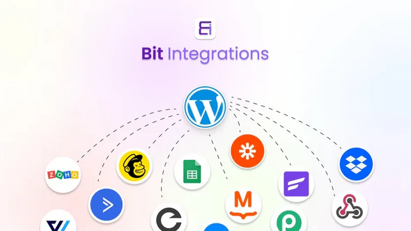 Bit Integrations Pro