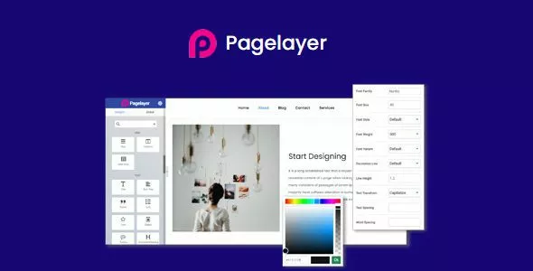 PageLayer Pro - WordPress Page Builder