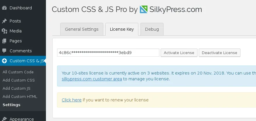 Simple Custom CSS and JS Pro v4.36