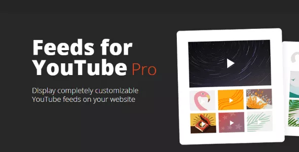 Feeds for YouTube Pro v2.2.4 - The #1 Custom YouTube Feed Plugin for WordPress