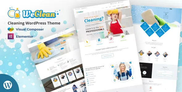 We Clean v3.5 - Cleaning WordPress