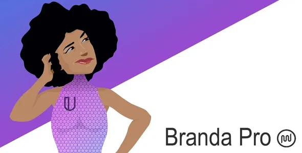 Branda Pro v3.4.16 - WordPress White Label Branding