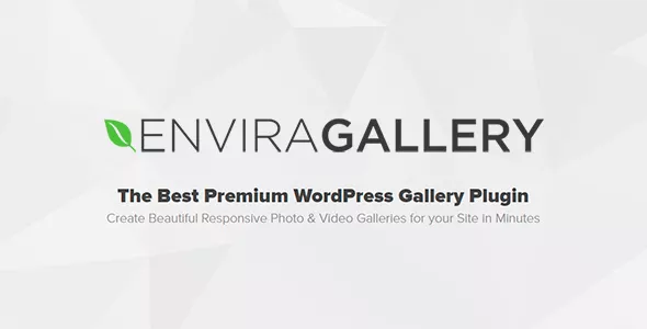 Envira Gallery Pro v1.9.10 - Best Responsive WordPress Gallery Plugin