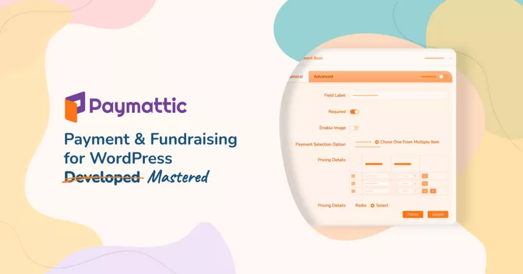 Paymattic Pro v4.3.3 - WordPress Payments and Donations Made Simple