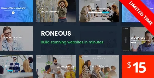 Roneous v2.0.4 - Creative Multi-Purpose WordPress Theme