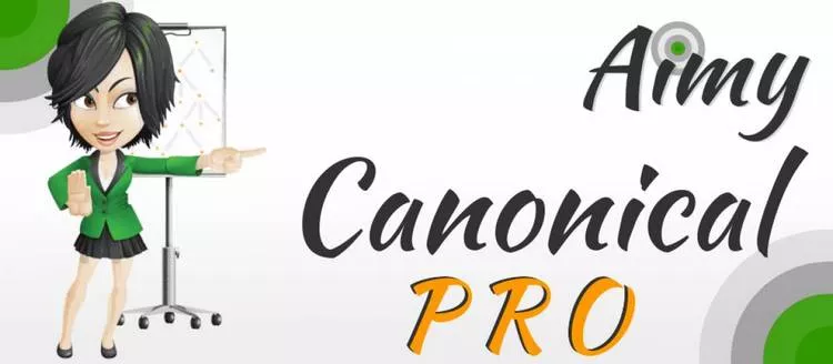 Aimy Canonical Pro v23.0