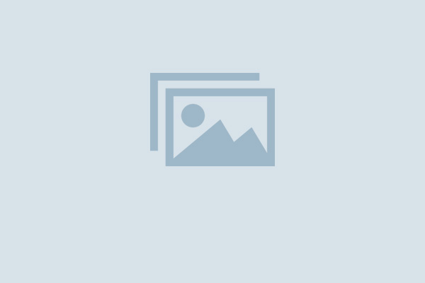WordPress Contact Form 7 PDF, Google Sheet & Database