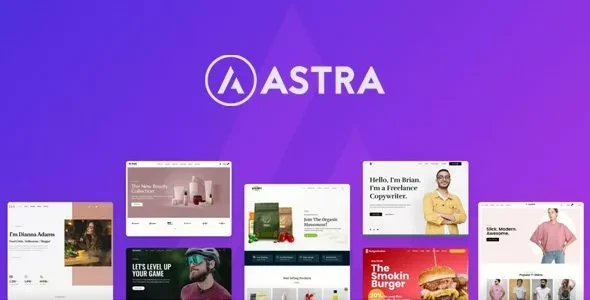 Astra Pro Addon v4.13.6
