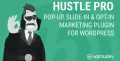 Hustle Pro v7.8.14.3 - WordPress Plugin