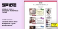 Spide v1.0.5 - Personal Blog & Magazine WordPress Theme