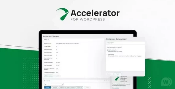 Seraphinite Accelerator v2.29.29