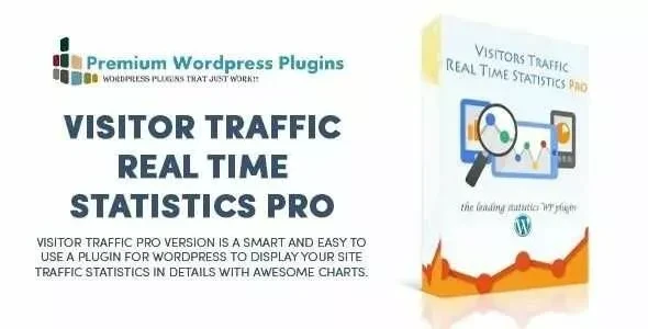 Visitor Traffic Real Time Statistics Pro v11.26