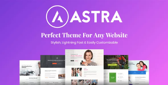 Astra Pro Addon - Perfect Theme for Any Website