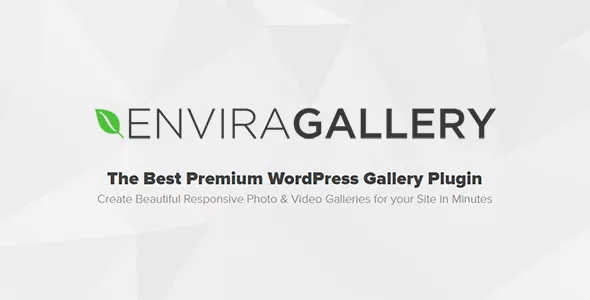 Envira Gallery Pro v1.9.16 - Best Responsive WordPress Gallery Plugin