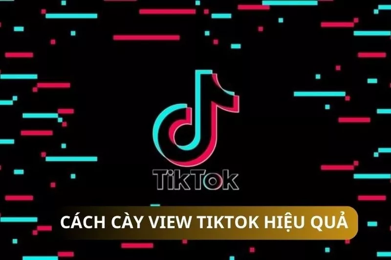 Hướng dẫn cách cày view TikTok đơn giản, hiệu quả giúp video của bạn được viral