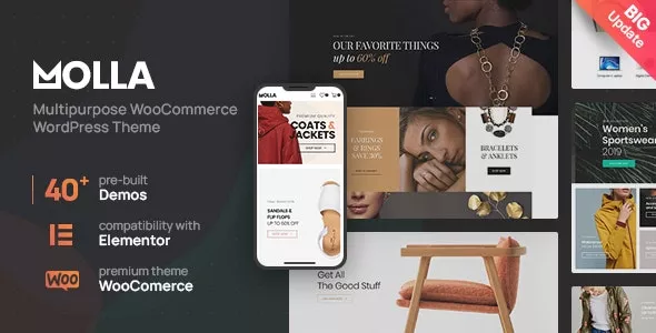 Molla v1.5.5 - Multi-Purpose WooCommerce Theme