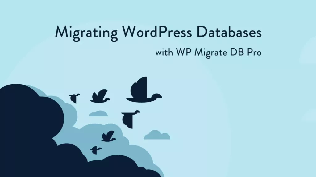 WP Migrate DB Pro