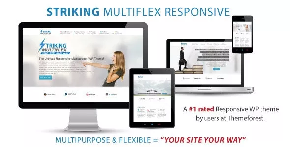 Striking - MultiFlex & Ecommerce Responsive WordPress Theme