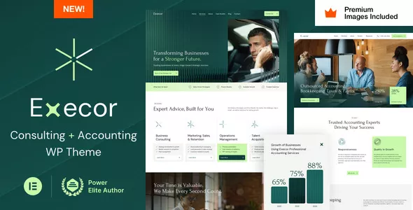 Execor - Accounting and Management Consulting WordPress Theme