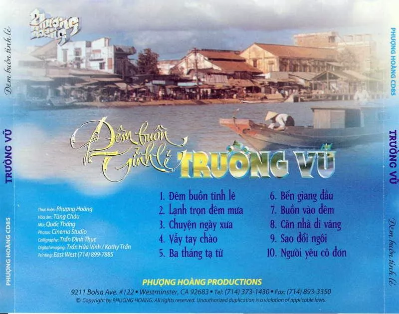Trường Vũ - Đêm Buồn Tỉnh Lẻ 2002