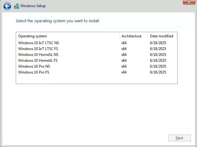 Ghost Win 10 22H2 - Multi Edition, Update June 2025