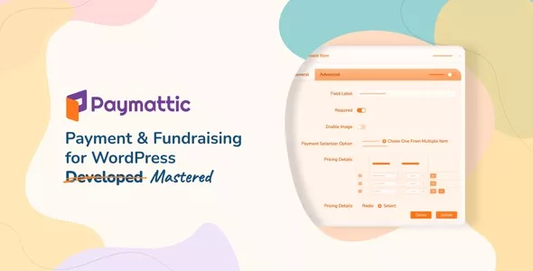 Paymattic Pro - WordPress Payments and Donations Made Simple
