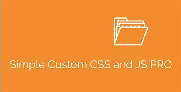 Simple Custom CSS and JS Pro