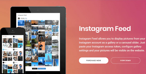 Instagram Feed Gallery