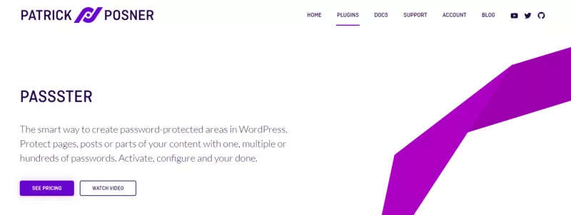 Passster Premium - Password Protect Content in WordPress