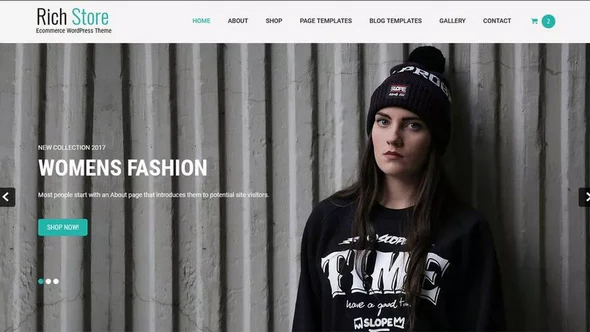 Rich Store Lite - Free Wordpress Shopping Theme