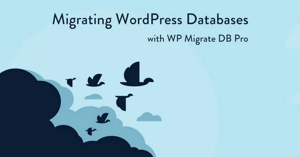 WP Migrate DB Pro