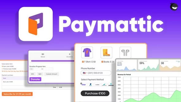 Paymattic Pro - WordPress Payments and Donations Made Simple