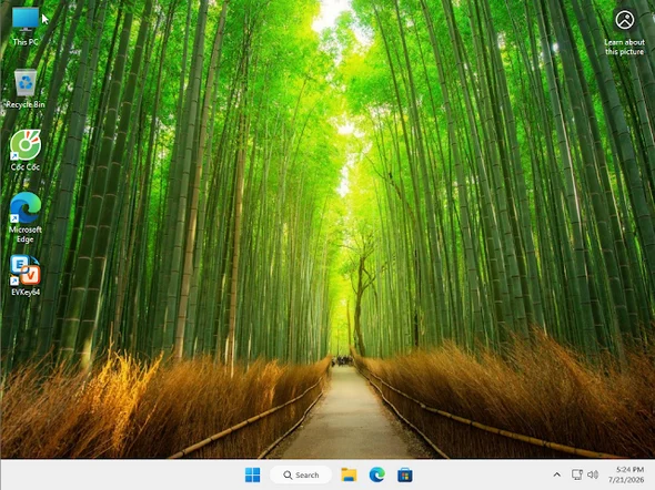 ISO Windows 11 Home/Pro Version 23H2